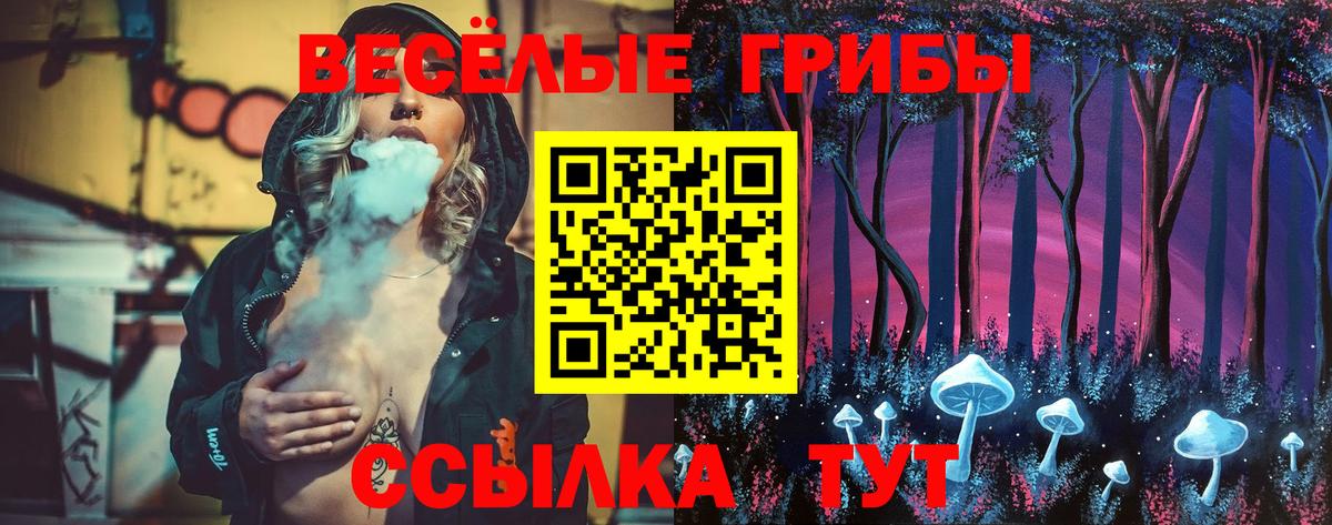 Миллерово  Галлюциногенные грибы MAGIC MUSHROOMS  Вход с VPN 