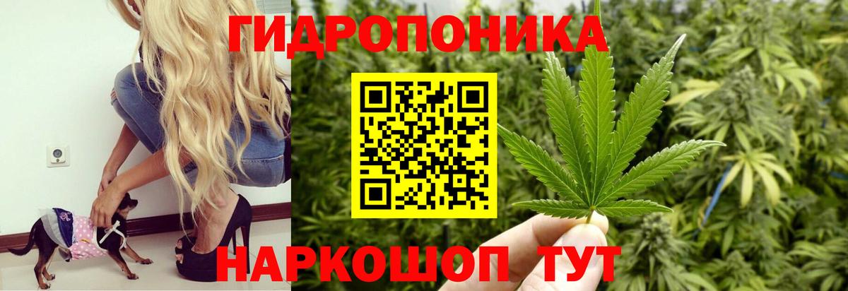 Миллерово  Шишки марихуана OG Kush  Вход с VPN  Бошки марихуана гибрид  Канабис Ganja  Бошки Шишки Ganja 